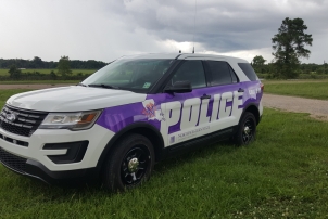 Policecruiserwrap-NSU