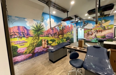 WallGraphics-Dentistofficemurals