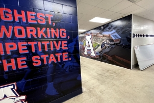 WallGraphics-Lockerroomwallmurals
