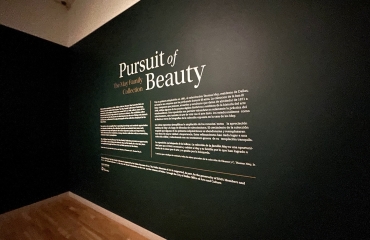 wallgraphics-lettering